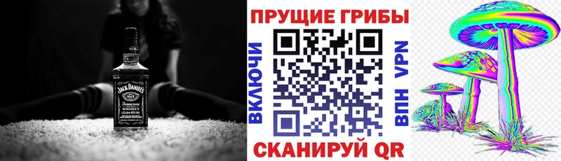 цена наркотик  Удомля  Псилоцибиновые грибы Cubensis 